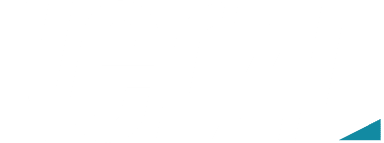 Verzi Logo